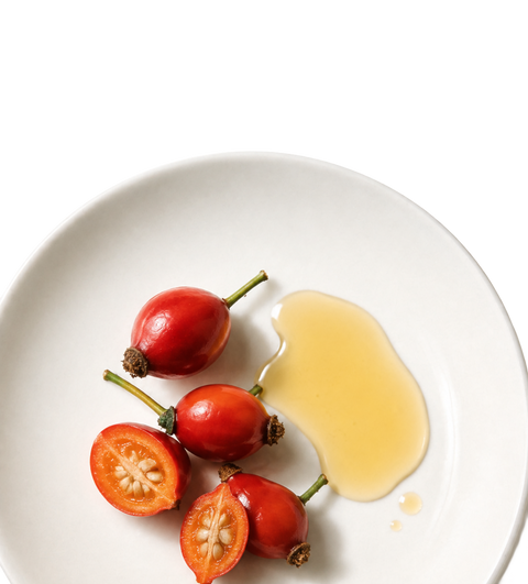 Rose Hip Oil